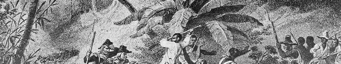 Yellow Fever: Napoleon’s Most Formidable Opponent